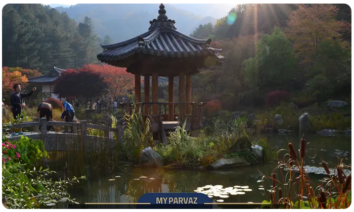 Quiet Morning Garden in South Korea